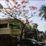 Parijat Clinic by Dr. Sahana Razzaque Ali,Khulna